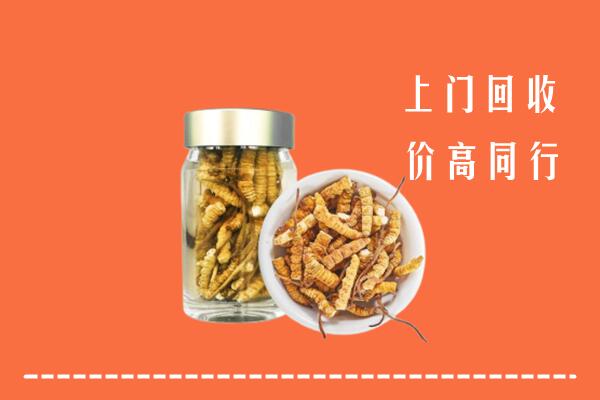 揭阳市榕城回收冬虫夏草